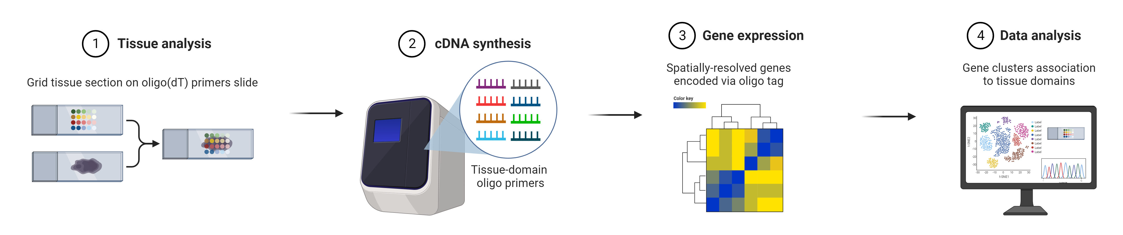 Single Cell Rna Sequencing Scrna Seq Aat Bioquest Single Cell Rna Sequencing Scrna Seq Aat Bioquest